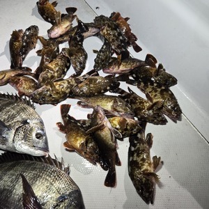 20250218_204511_コピー