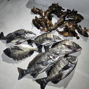 20250218_204457_コピー