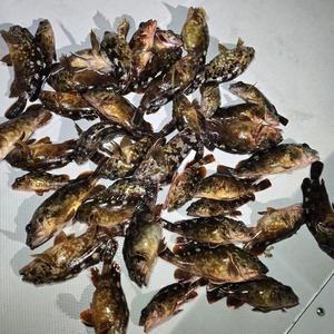 20250219_183444_コピー