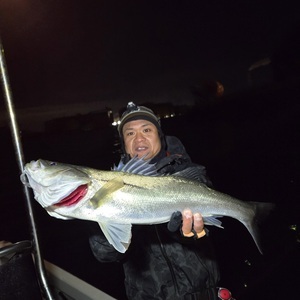 20250220_231419_コピー