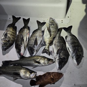 20250221_004658_コピー_コピー