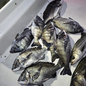 20250221_061747_コピー