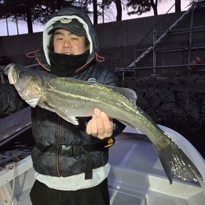 20250221_061356_コピー