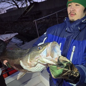 20250221_061228_コピー