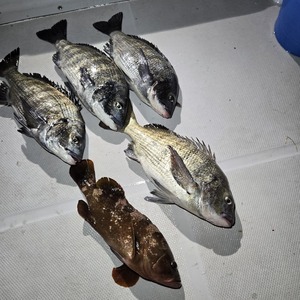 20250222_214009_コピー