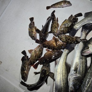 20250301_234927_コピー