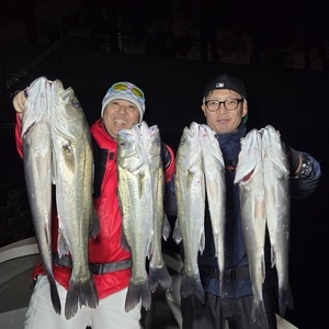 20250301_234554_コピー