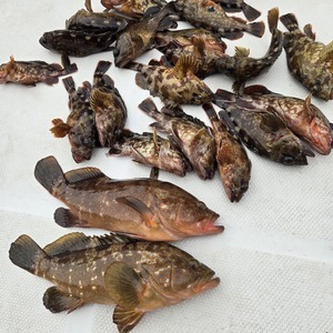 20250302_132302_コピー