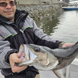 20250302_131655_コピー