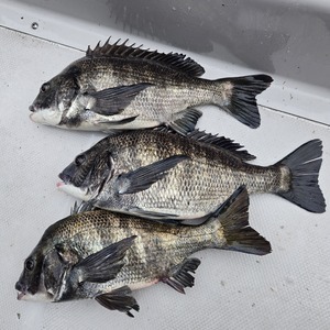 20250304_131112 1_コピー