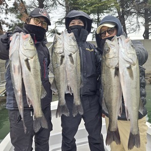 20250304_074502 1_コピー