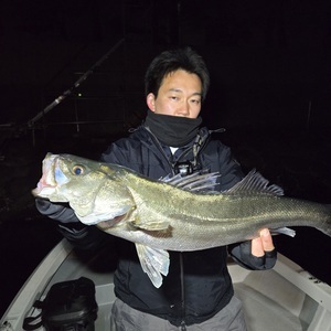 20250309_000251_コピー