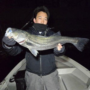 20250309_000134_コピー