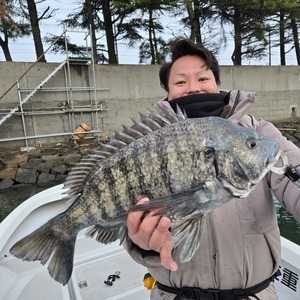 20250312_174518_コピー