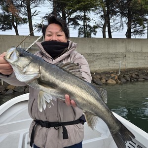 20250312_174339_コピー