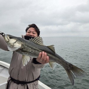 20250312_133042_コピー