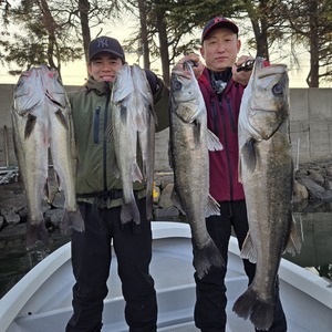 20250322_065548_コピー