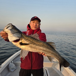 20250322_063033_コピー