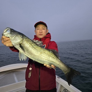 20250322_054310_コピー