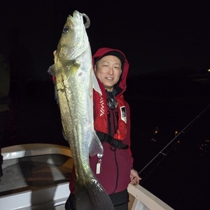 20250322_031720_コピー