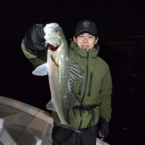 20250322_031536_コピー