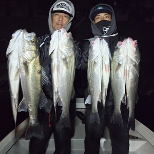 20250323_230627_コピー