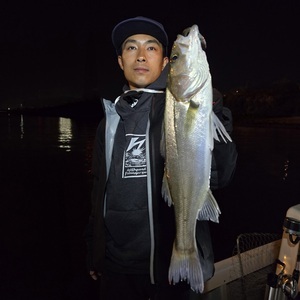 20250323_194300_コピー