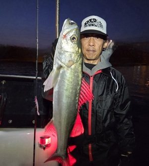 20250323_183807_コピー