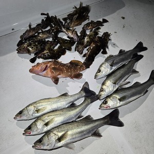 20250327_004023_コピー