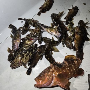 20250327_004049_コピー