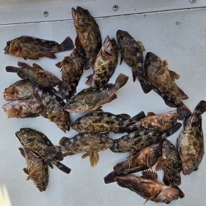 20250330_162226_コピー