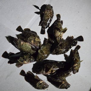 20250330_000656_コピー