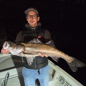 20250330_000332_コピー