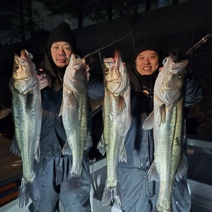 20250331_003240_コピー