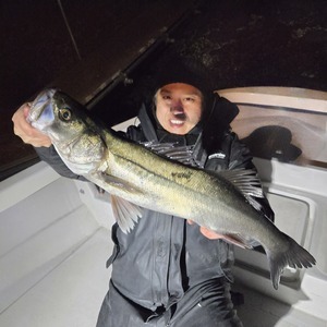 20250331_003111_コピー