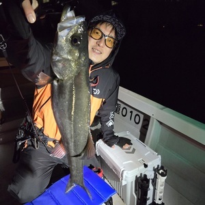 20250405_215242_コピー