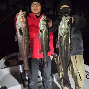 20250409_001407_コピー