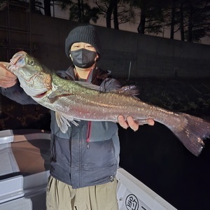 20250409_001229_コピー