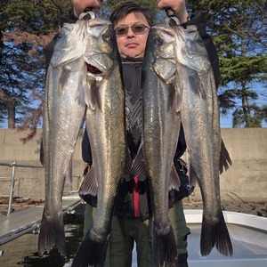 20250411_172446_コピー