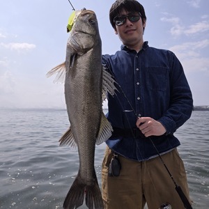 20250411_135704_コピー