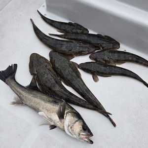 20250412_173537_コピー