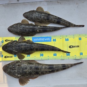 20250417_161040_コピー