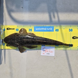 20250417_152547_コピー