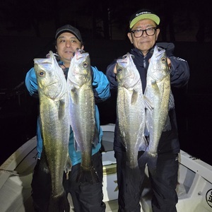 20250417_222048_コピー