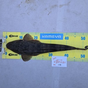 20250419_183525_コピー