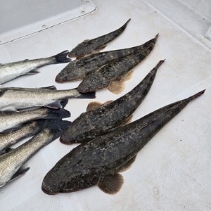 20250420_172827_コピー