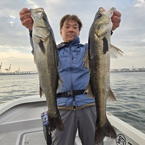 20250420_172512_コピー