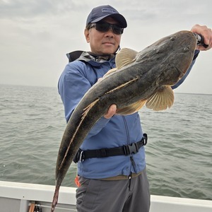 20250420_141802_コピー