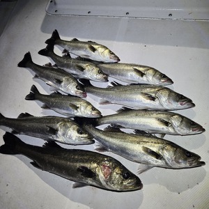 20250422_001916_コピー