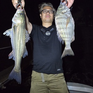 20250422_205217_コピー